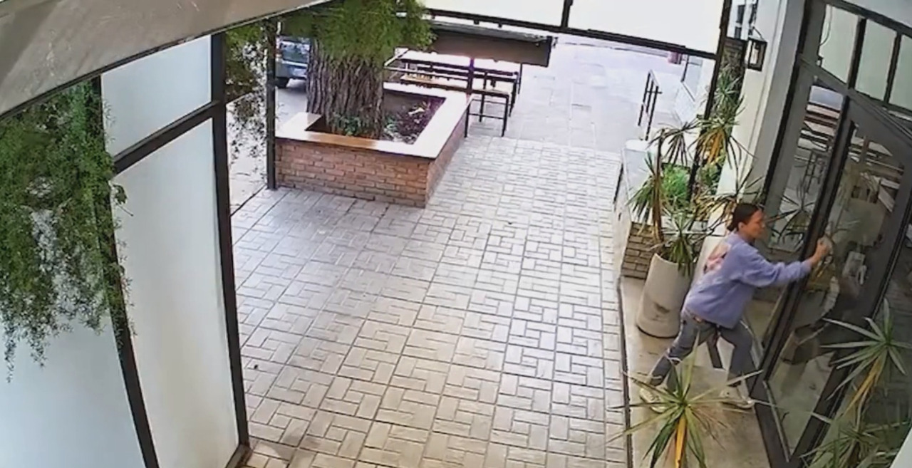 Vandalismo en Castelar: mujer volvió a atacar y destrozar un comercio.